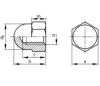 Hex domed cap nut DIN 1578 A2 M5
